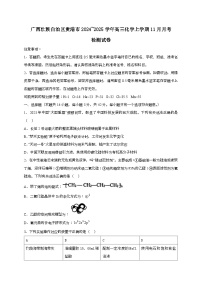 广西壮族自治区贵港市2024_2025学年_高三化学上学期11月月考检测试卷
