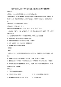 辽宁省2023_2024学年高三化学上学期11月期中检测试卷[有解析]