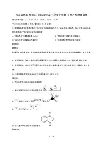 四川省绵阳市2024~2025学年高三化学上学期12月月考检测试卷1（附解析）