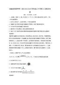 【化学】河南省洛阳市等3地2024-2025学年高二下学期6月期末考试（解析版）
