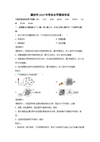 【化学】重庆市2025年高三学业水平模拟考试（解析版）