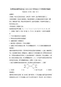 甘肃省武威市凉州区2024-2025学年高二下学期期中检测化学试卷（解析版）
