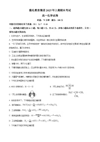 湖南省长沙市雅礼中学2024-2025学年高一下学期6月期末化学试卷（Word版附解析）