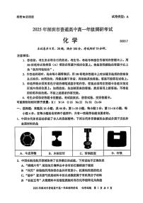 广东省深圳市2024-2025学年高一下学期期末考试  化学  PDF版含答案含答案解析