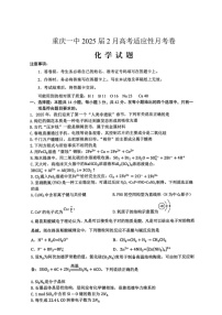 重庆市第一中学校2025届高三下学期2月开学考试化学试题（含答案）