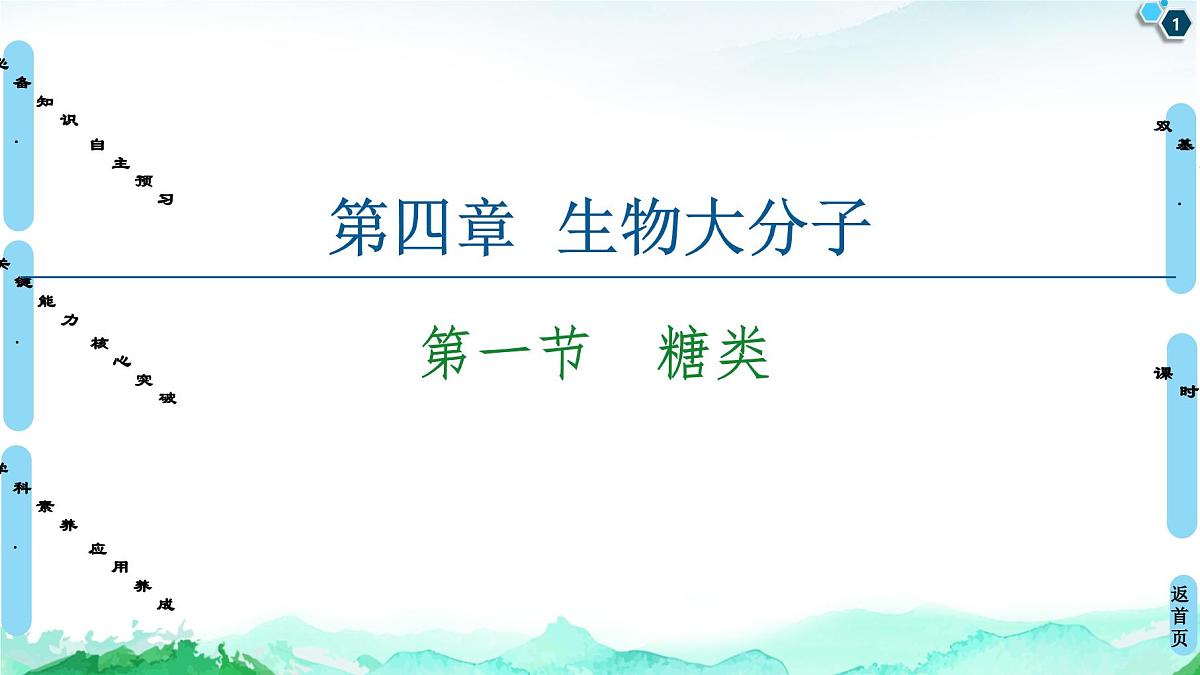 第4章 第1节 糖类 课件【新教材】人教版(2019)高中化学选择性必修3第1页