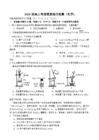 江苏省南京市第二十九中学2026届高三上学期模拟预测化学试卷(Word版附答案)