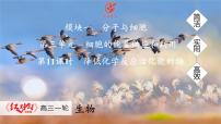 高考生物【一轮复习】课件　第三单元　第一十一课时　降低化学反应活化能的酶