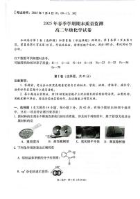 云南省保山市2024-2025学年高二下学期7月期末质量检测化学试卷（含解析）含答案解析