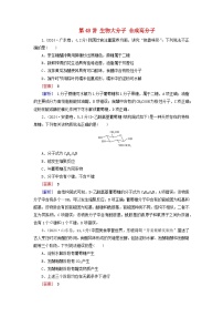 2026版高考化学一轮总复习真题演练第九章有机化学基础第48讲生物大分子合成高分子