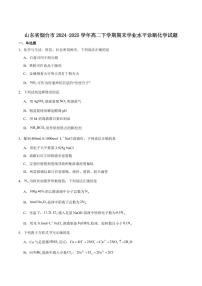 山东省烟台市2025届新高二下学期7月期末考-化学试题+答案