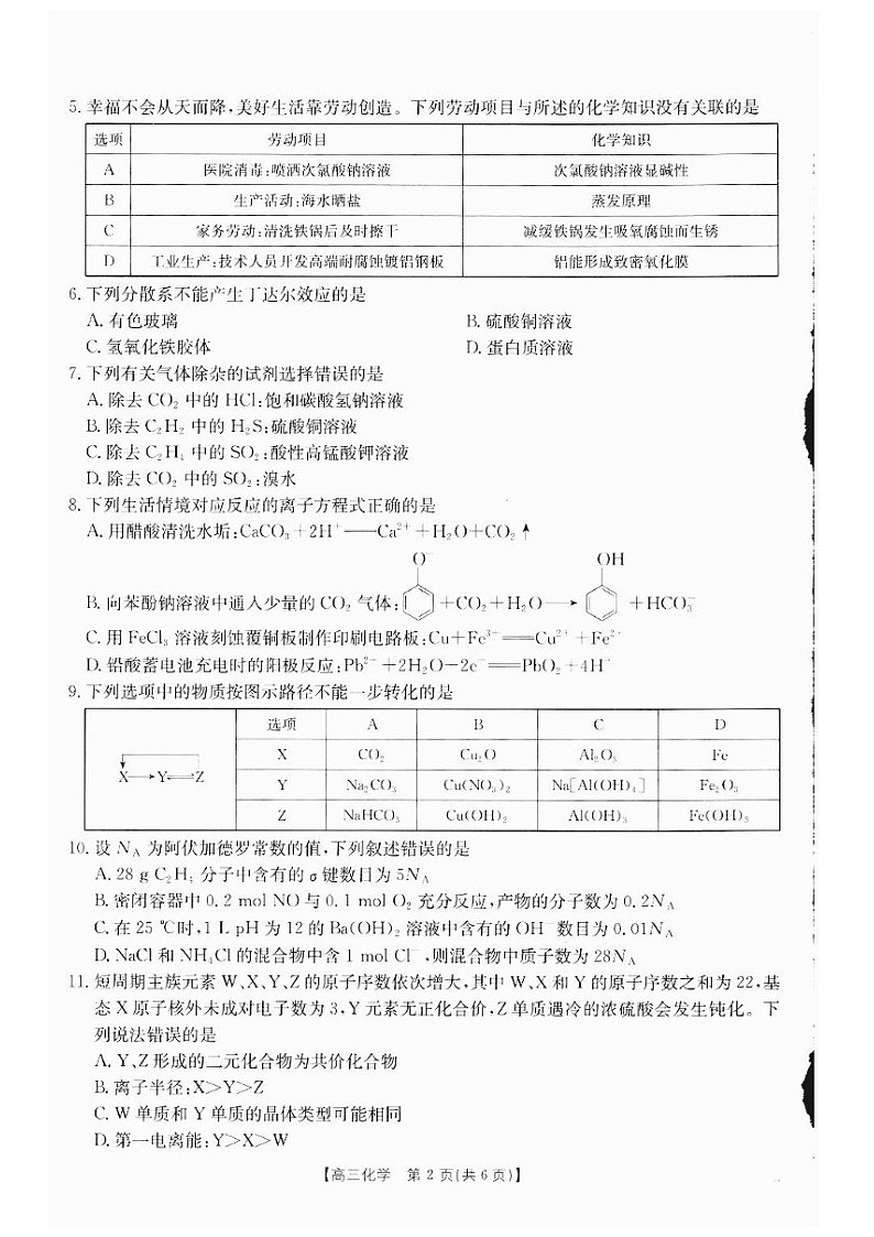 2025届四川金太阳高三下学期10月联考-化学试题(含答案)第2页