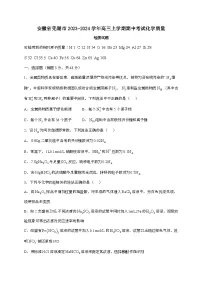 安徽省芜湖市2023-2024学年高三上学期期中考试化学试卷[附答案]