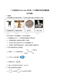 广东省清远市2024-2025学年高二下学期期末考试化学试题（Word版附答案）
