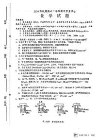河南省南阳市2024-2025学年高二上学期11月期中化学试题