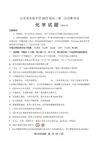 2025届山东省实验中学高三下学期10月第一次诊断-化学试题（含答案）
