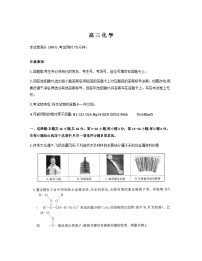 广东省湛江市、深圳市2025-2026学年高三上学期8月月考化学试题（Word版附解析）