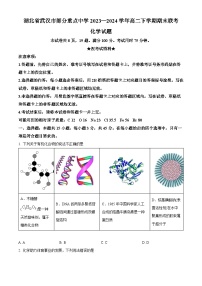 湖北省武汉市部分重点中学2023-2024学年高二下学期期末联考化学试卷