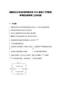 湖南省长沙市名校联考联合体2025届高三下学期高考考前仿真联考二化学试题（含答案解析）