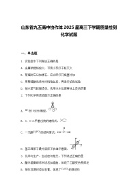 山东省九五高中协作体2025届高三下学期质量检测化学试题（含答案解析）
