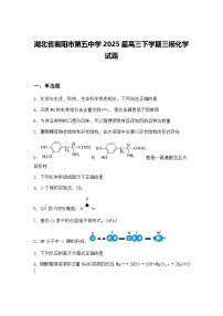 湖北省襄阳市第五中学2025届高三下学期三模化学试题（含答案解析）