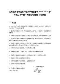 山东省济南市山东师范大学附属中学2024-2025学年高三下学期4月阶段性检测 化学试题（含答案解析）