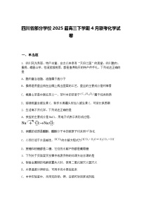 四川省部分学校2025届高三下学期4月联考化学试卷（含答案解析）