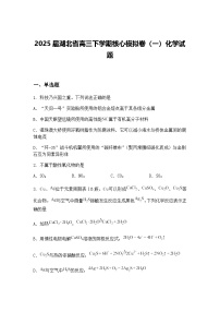 2025届湖北省高三下学期核心模拟卷（一）化学试题（含答案解析）