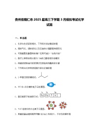 贵州省铜仁市2025届高三下学期3月模拟考试化学试题（含答案解析）