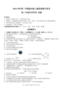 浙江省温州新力量联盟2024-2025学年高二下学期4月期中联考化学试卷+答案