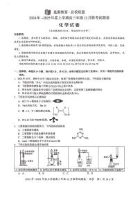 广西壮族自治区邕衡教育•名校联盟2024年-2025年度上学期高三年级12月联考化学试卷+答案