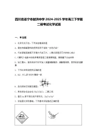 四川省遂宁市射洪中学2024-2025学年高三下学期二模考试化学试题(含答案解析)