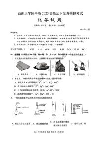 2025届重庆市西南大学附属中学高三下学期5月全镇模拟化学试题(含答案)