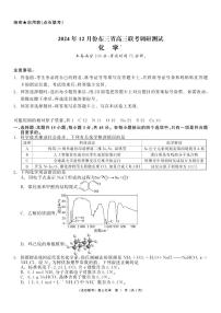 东北三省（点石联考）2024-2025学年高三上学期12月联考调研测试化学试卷+答案