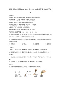 湖南省名校联盟2024-2025学年高一上学期开学考试 化学化学试卷（解析版）