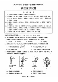 2025届江苏省连云港市高三下学期11月期中调研考-化学试卷（含答案）