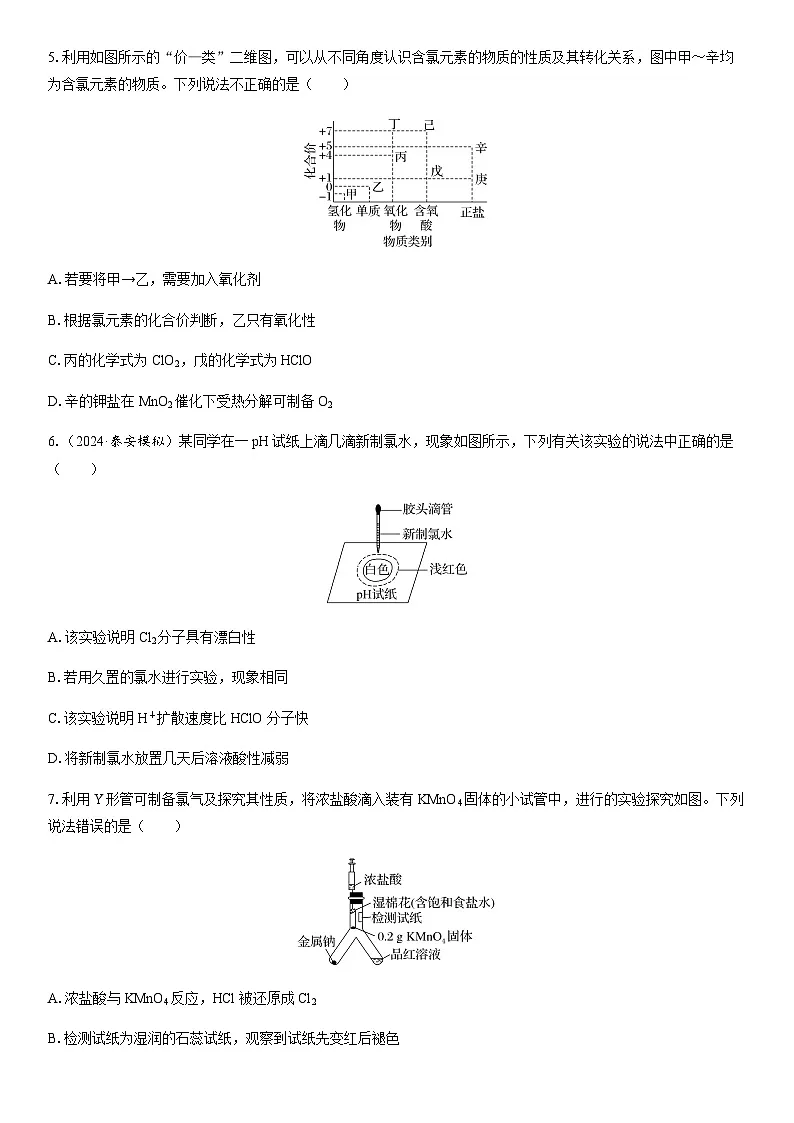 第16讲 氯及其化合物 课时跟踪检测练习(含答案)2026届高中化学一轮总复习第3页