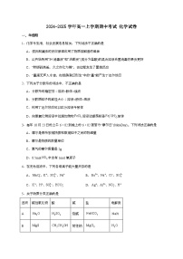 陕西省汉中市普通高中十校联盟2024~2025学年高一上学期期中考试化学试题（含答案）