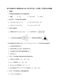浙江省温州市十校2024~2025学年高二上学期11月（期中）联考化学试题（含答案）