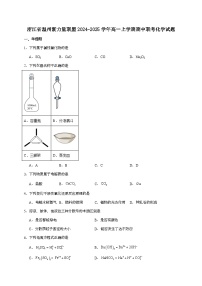 浙江省温州市新力量联盟2024~2025学年高一上学期期中联考化学试题(含答案)