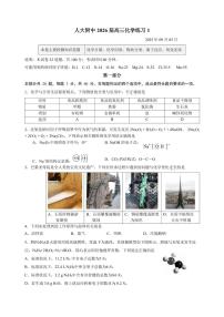 2025北京人大附中高三（上）统练一化学试卷