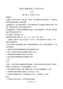 湖北省宜昌市2026届高三上学期9月起点考试化学试题（Word版附解析）