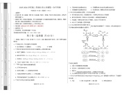 北京市某校2025-2026学年高二上学期第一次月考化学试卷（含答案）