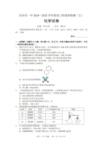 湖南省长沙市第一中学2025届高三上学期阶段性检测（五）-化学试题（含答案）