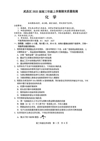 湖北省武汉市武昌区2025届高三上学期期末质量检测-化学试卷（含答案）