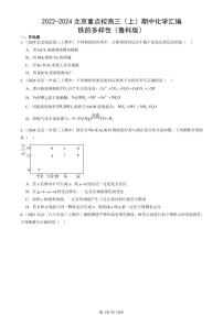 2022-2024北京重点校高三（上）期中化学汇编：铁的多样性（鲁科版） 有答案