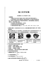 甘肃省金太阳暨陇南一诊2025届高三上学期1月期末考-化学试卷（含答案）