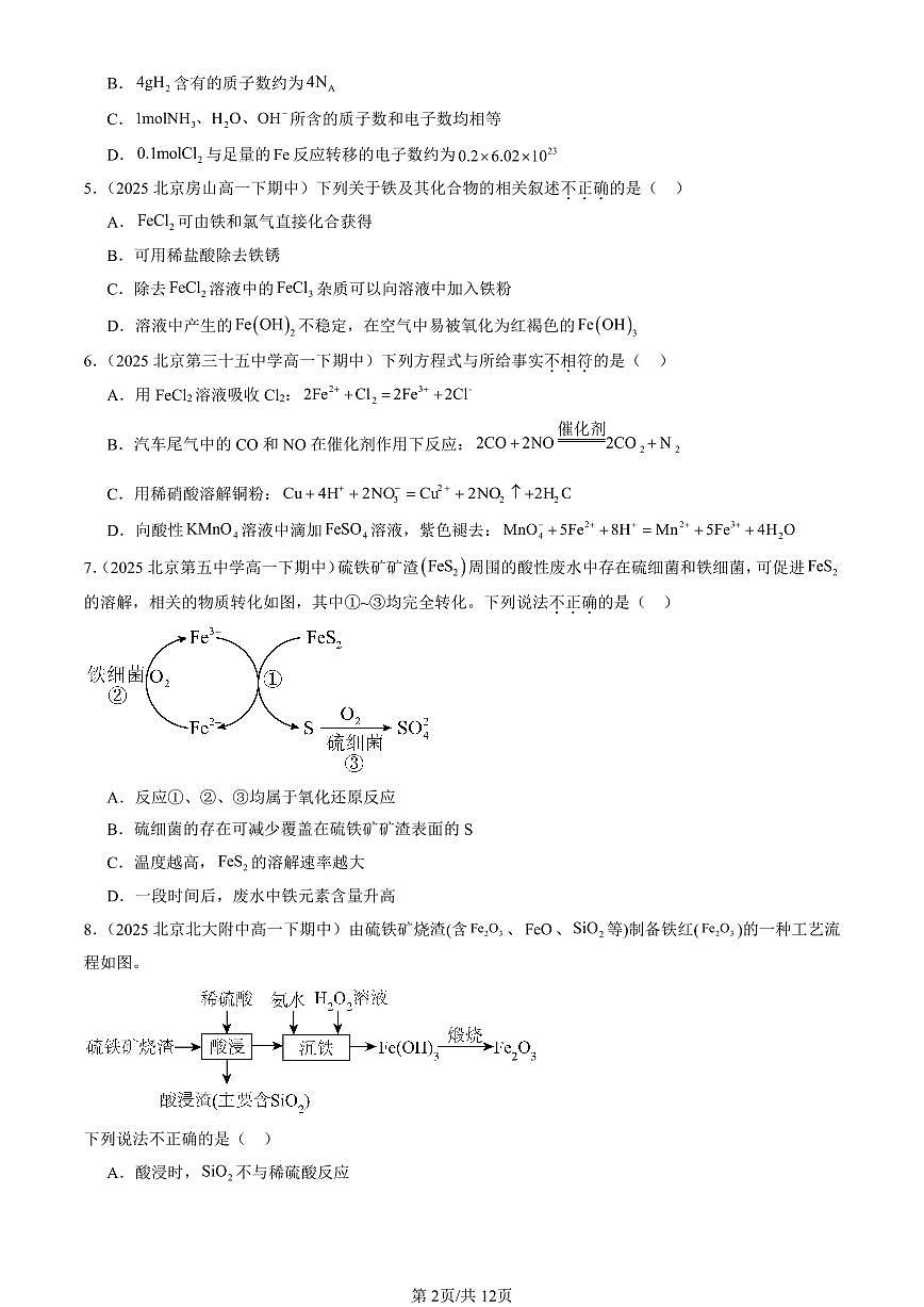 2025北京重点校高一(下)期中化学汇编:铁及其化合物第2页