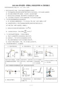 2025北京理工大附中高三上10月月考化学试卷（教师版）