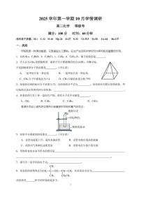 上海市大同中学2025-2026学年高二上学期10月月考化学试题